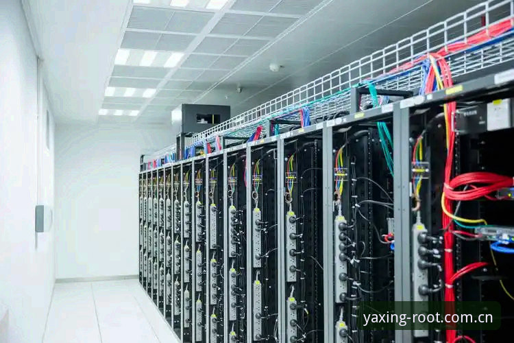 玩转亚星体育平台的实战心得——资深用户分享官方根服务器数据站使用经验